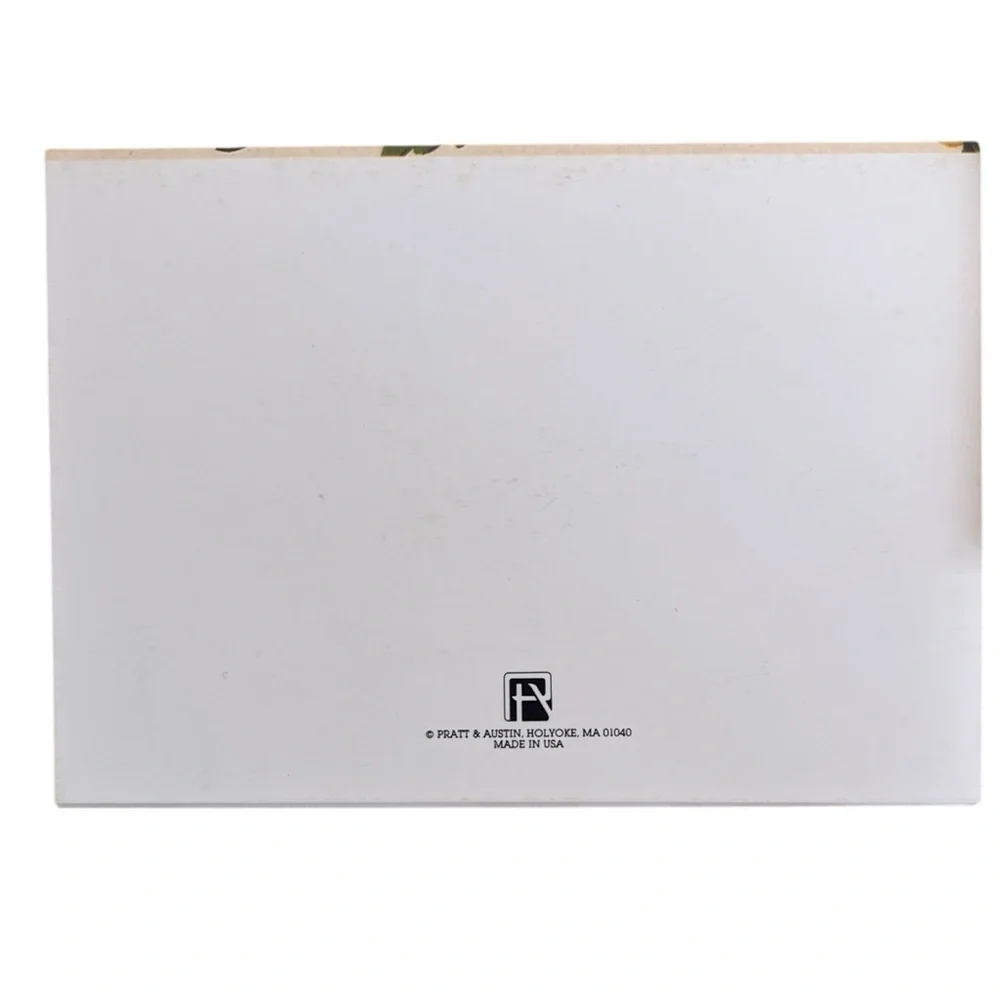 Vintage Pratt & Austin Blank Strawberry Greeting Cards Unused No Envelopes